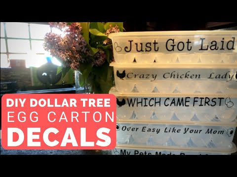 DIY Cricut Dollar Tree Funny Egg Carton Containers [with SVG's]