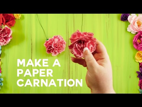 Paper Carnation – Rolled and Ruffled Petals